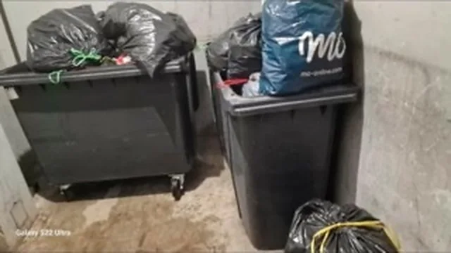 Sacs poubelles entassés à même le sol autour des bacs